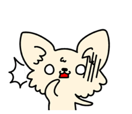 Chiwawa Cute dog "kabocha" sticker #3294886