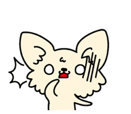 Chiwawa Cute dog "kabocha" sticker #3294886