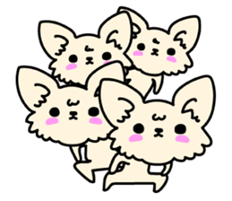 Chiwawa Cute dog "kabocha" sticker #3294887