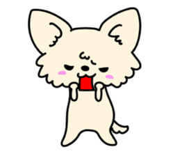 Chiwawa Cute dog "kabocha" sticker #3294888