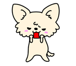 Chiwawa Cute dog "kabocha" sticker #3294888