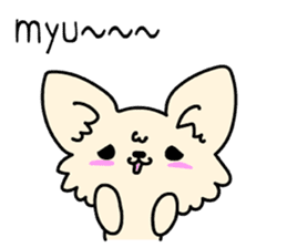 Chiwawa Cute dog "kabocha" sticker #3294889