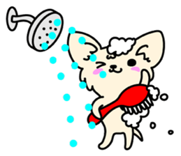 Chiwawa Cute dog "kabocha" sticker #3294891