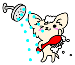 Chiwawa Cute dog "kabocha" sticker #3294891