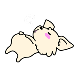 Chiwawa Cute dog "kabocha" sticker #3294892