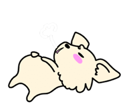 Chiwawa Cute dog "kabocha" sticker #3294892