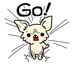 Chiwawa Cute dog "kabocha" sticker #3294893