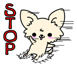 Chiwawa Cute dog "kabocha" sticker #3294894