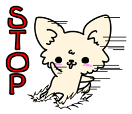 Chiwawa Cute dog "kabocha" sticker #3294894