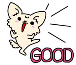 Chiwawa Cute dog "kabocha" sticker #3294895