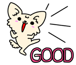 Chiwawa Cute dog "kabocha" sticker #3294895