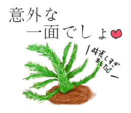 Asparagus sticker #3296287