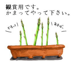 Asparagus sticker #3296292