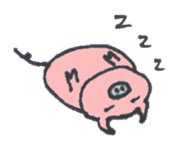 Pretty BEAR & PIG sticker #3296776