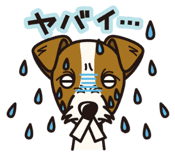 iinu - Jack Russell Terrier sticker #3296847