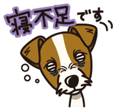 iinu - Jack Russell Terrier sticker #3296860