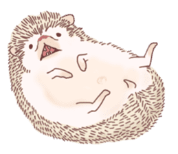 "TAWASHI" The Tiny Hedgehog 2 sticker #3300656