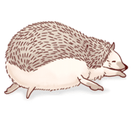 "TAWASHI" The Tiny Hedgehog 2 sticker #3300657