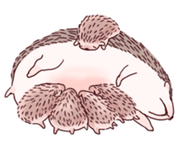 "TAWASHI" The Tiny Hedgehog 2 sticker #3300661
