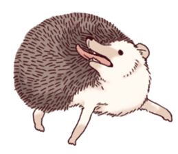 "TAWASHI" The Tiny Hedgehog 2 sticker #3300664