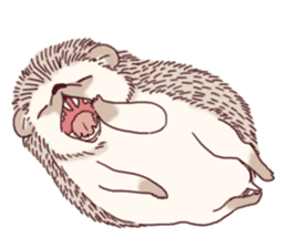 "TAWASHI" The Tiny Hedgehog 2 sticker #3300670