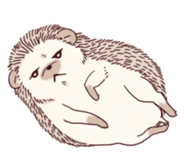 "TAWASHI" The Tiny Hedgehog 2 sticker #3300671