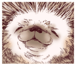 "TAWASHI" The Tiny Hedgehog 2 sticker #3300689