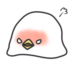 Chewy bird sticker #3305001