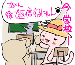 Sorry Cat - Busy Now sticker #3306552