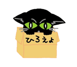 Riru of a black cat sticker #3307298