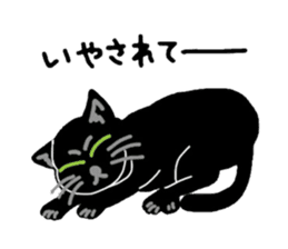 Riru of a black cat sticker #3307319
