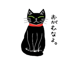 Riru of a black cat sticker #3307332