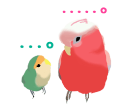 Love bird Rubio!! sticker #3308018