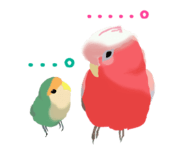 Love bird Rubio!! sticker #3308018