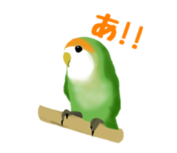 Love bird Rubio!! sticker #3308019