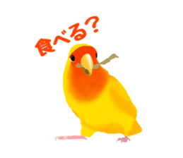 Love bird Rubio!! sticker #3308020