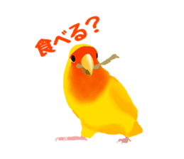 Love bird Rubio!! sticker #3308020