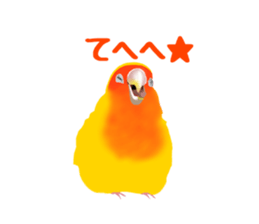 Love bird Rubio!! sticker #3308021