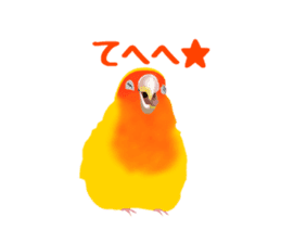 Love bird Rubio!! sticker #3308021