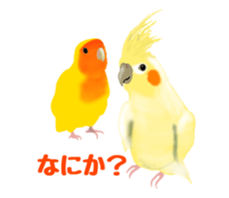 Love bird Rubio!! sticker #3308022