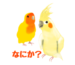 Love bird Rubio!! sticker #3308022