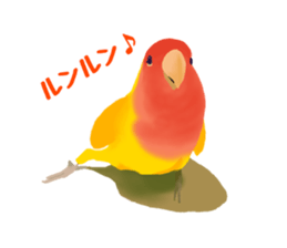 Love bird Rubio!! sticker #3308023