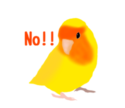 Love bird Rubio!! sticker #3308025