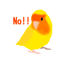 Love bird Rubio!! sticker #3308025