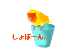 Love bird Rubio!! sticker #3308027