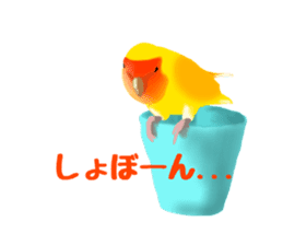 Love bird Rubio!! sticker #3308027