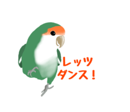 Love bird Rubio!! sticker #3308028