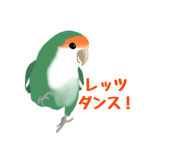 Love bird Rubio!! sticker #3308028