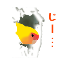 Love bird Rubio!! sticker #3308029