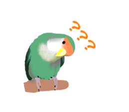 Love bird Rubio!! sticker #3308031